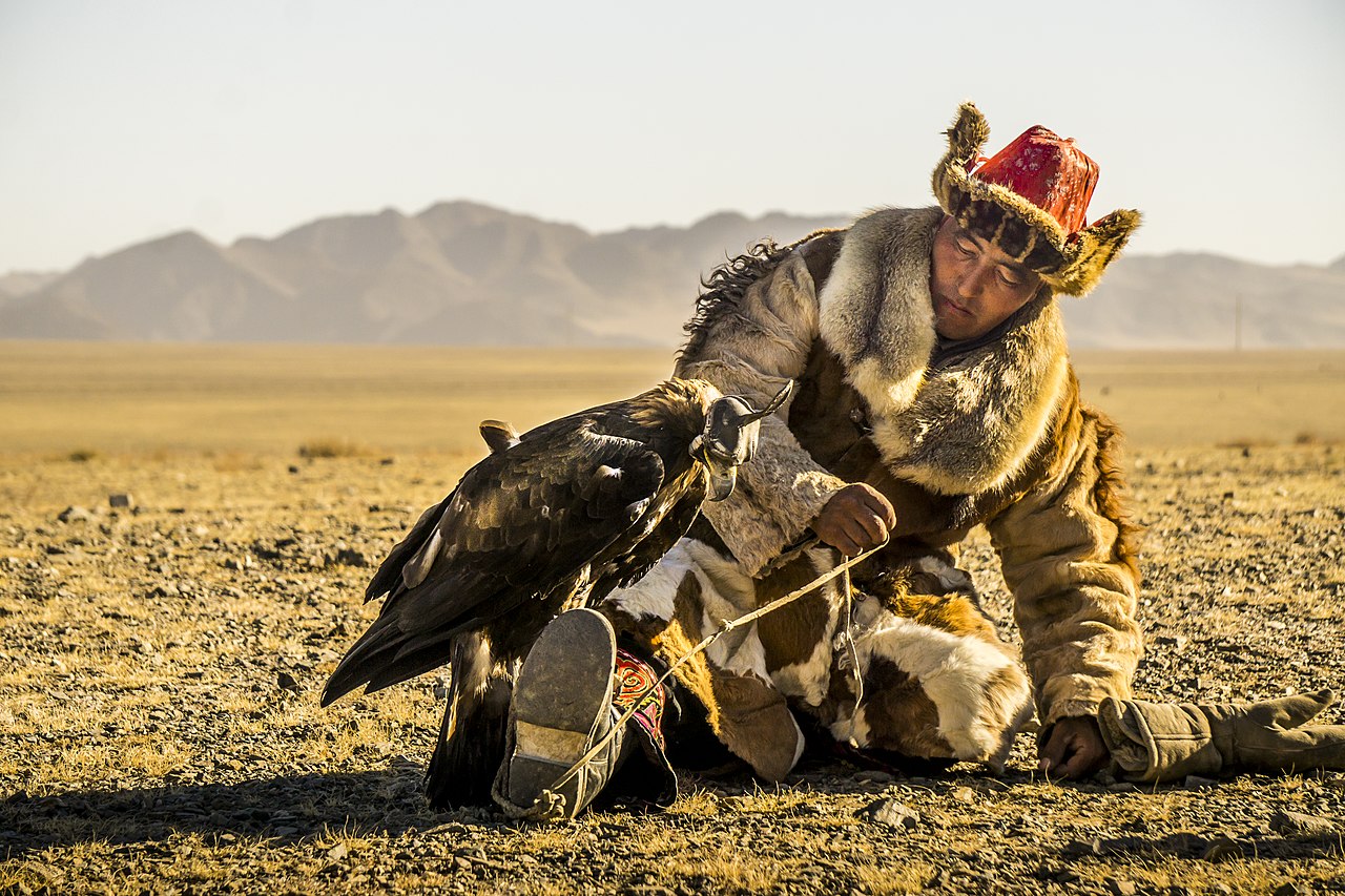 A falconer holding a golden eagle on the glove against open country